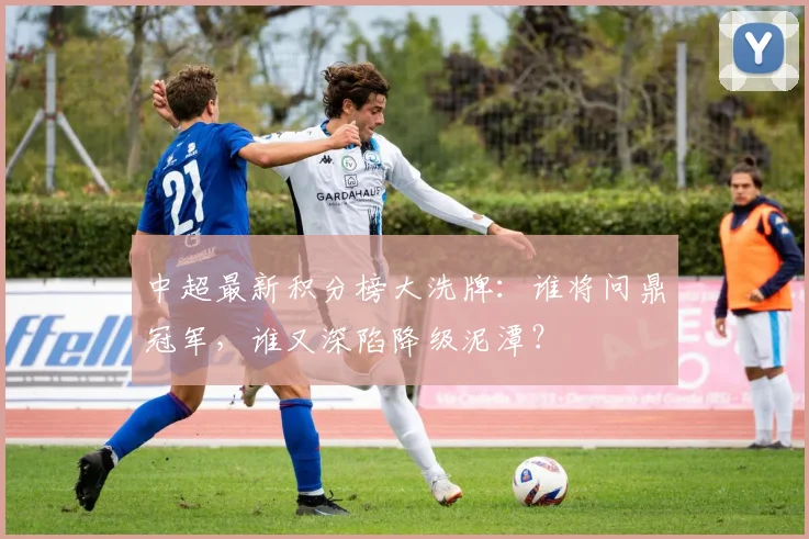 中超最新积分榜大洗牌：谁将问鼎冠军，谁又深陷降级泥潭？