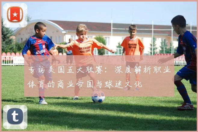 专访美国五大联赛:深度解析职业体育的商业帝国与球迷文化