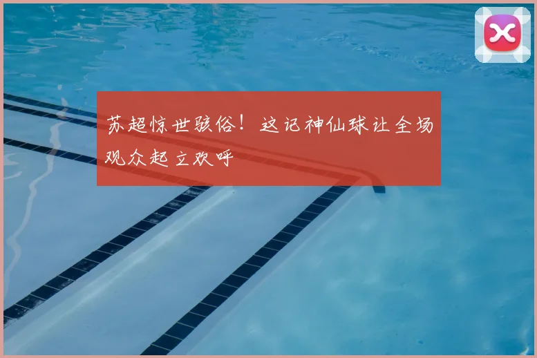 苏超惊世骇俗！这记神仙球让全场观众起立欢呼