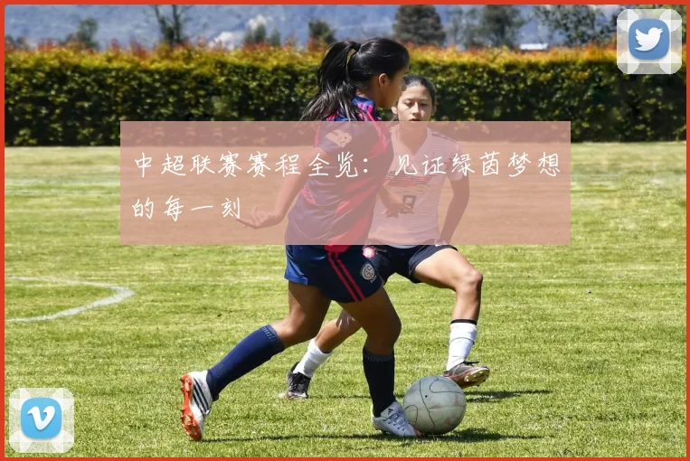 中超联赛赛程全览：见证绿茵梦想的每一刻