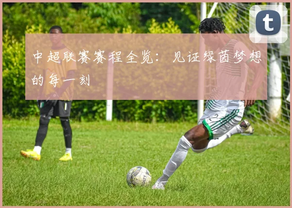中超联赛赛程全览：见证绿茵梦想的每一刻
